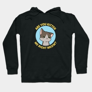 Are You Kitten Me Right Meow - Cute Cat Pun Hoodie